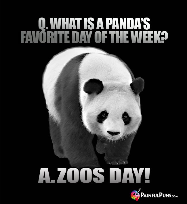 Q, What is a panda's favrite day of the week? A. Zoos Day!