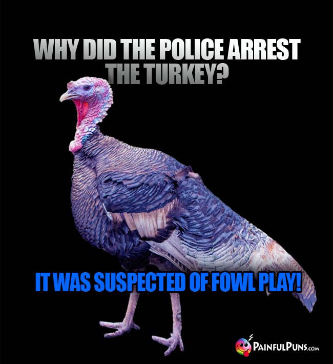 q. Why did the police arrest the turkey? A. It was suspected of fowl play1