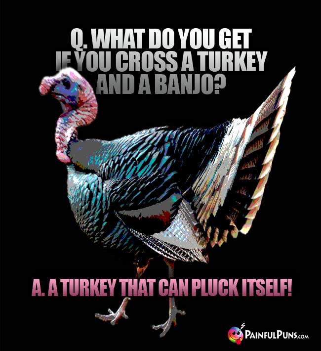 Q. What do you get if you cross a turkey and a banjo? a. a turkey that can pluck iitself!