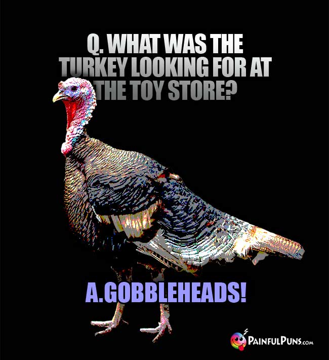 Q. What was the turkey looking for at the toy store? A. Gobbleheads!