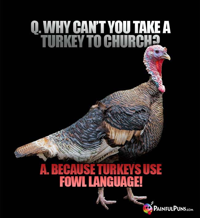 Q. Why can't you take a turkey to church? A. Because  turkeys use fowl language!