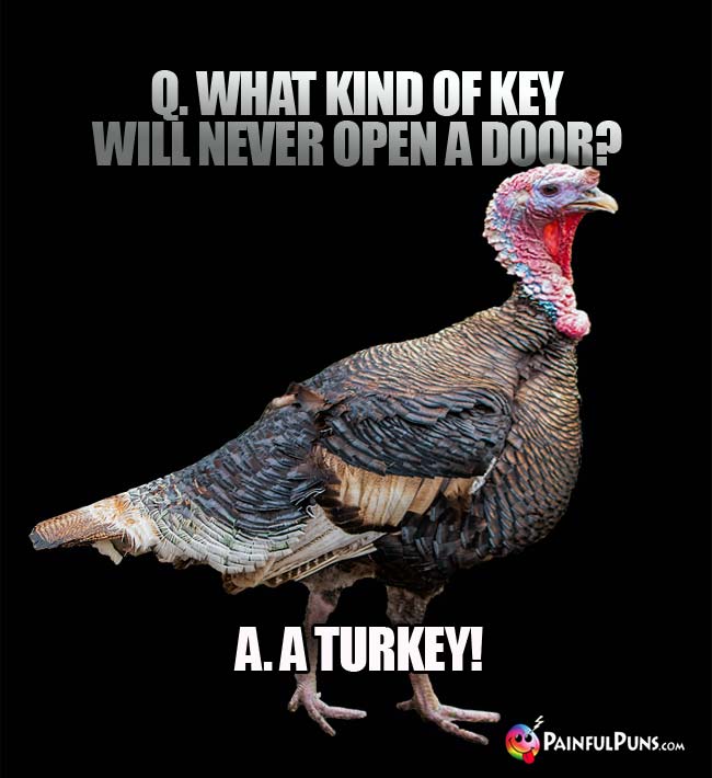 Q. What kind of key will never open a door? A. A turkey!