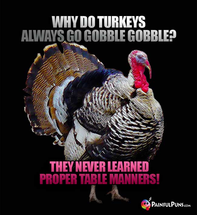 Q. Why do turkeys always go gobble gobble? A. They never learned proper table manners!