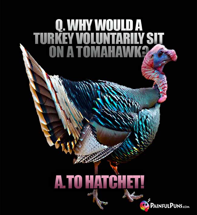 Q. Why would a turkey voluntarily sit on a tomahawk? a. To hatchet!