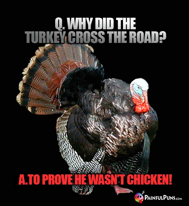 Q. Why did the turkey cross the road? A. To prove he wasn't chicken!