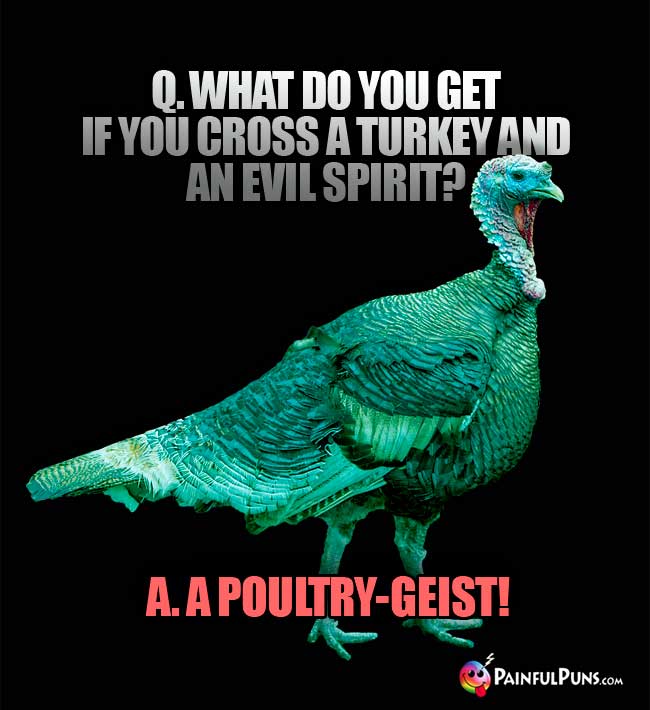 Q. What do you get if you cross a turkey and an evil spirit? A. A poultry-geist!