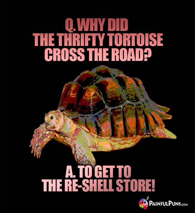 Q Why did the thrify turtoise cross the road? A. To get to the re-shell store!