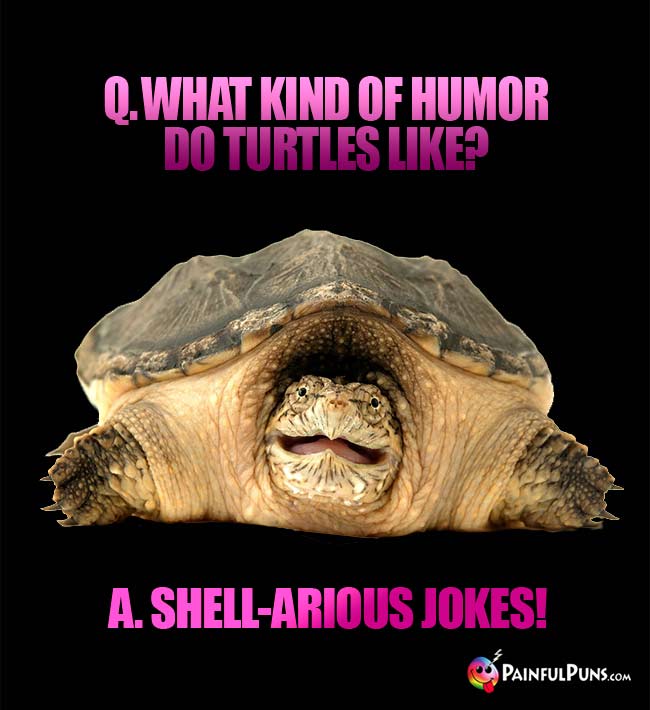 Q. What kind of humor do turtles like? A. Shell-arious jokes!