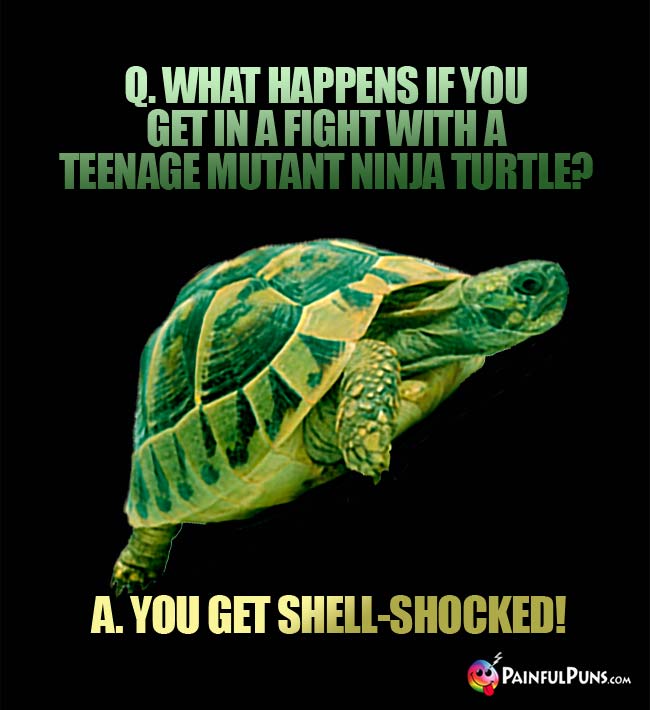 Q. What happens if you get in a fight with a Teenage Mutant Ninja Turtle? A. You get shell-shocked!