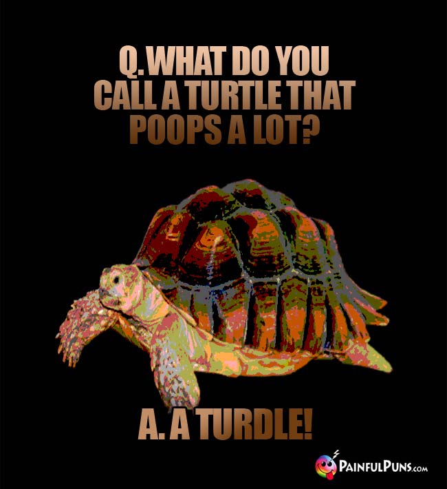 Q. What do you call a turtle that poops a lot? A. A Turdle!