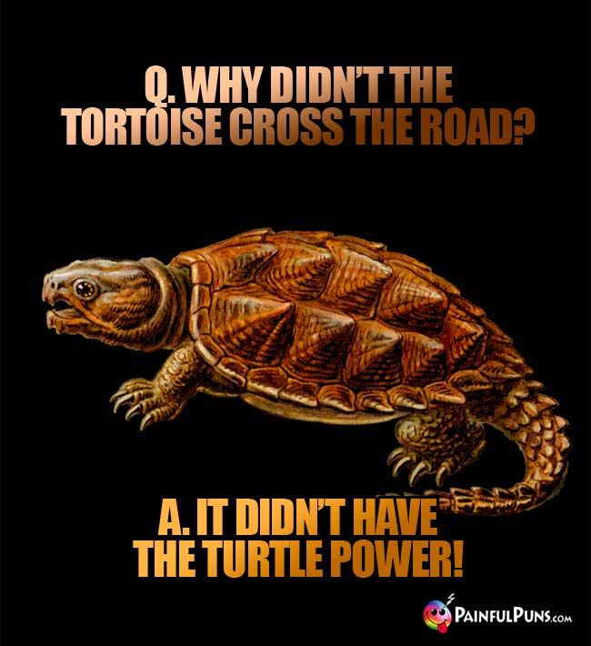Q. Why didn't the tortoise cross the road? A. It didn't have the turtle power!