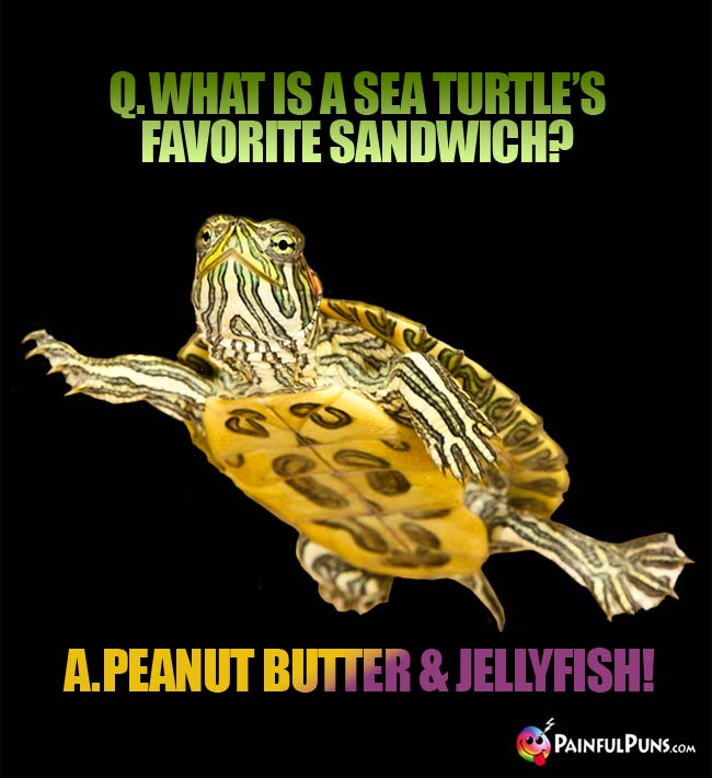 Q. What is a sea turtle's favorite sandwich? A. Peanut butter and jellyfish!