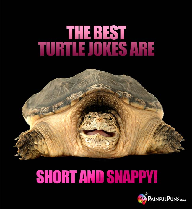 The best turtle jokes are short and sna;;y!