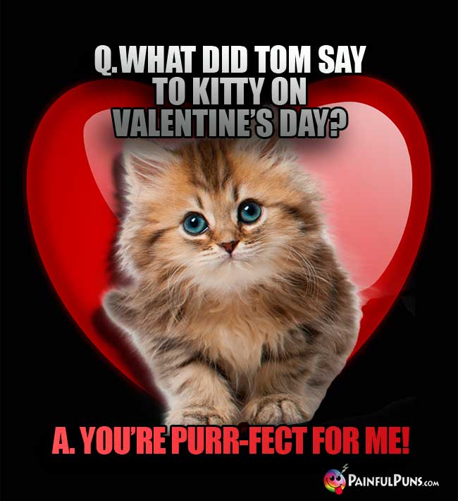 Q. What did Tom say to Kitty on Valentine's Day? A. You're purr-fect for me!