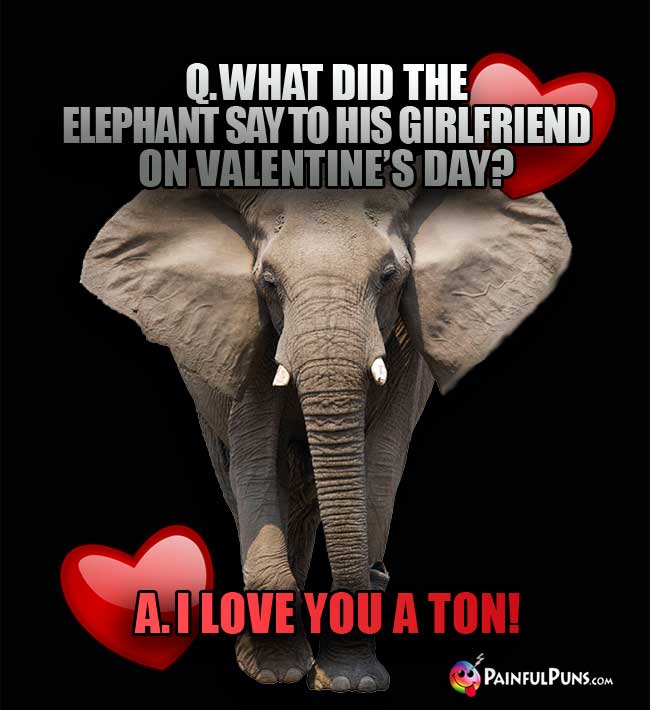 Q. What did the elephant say to his girlfriend on Valentine's Day? A I love you a ton!