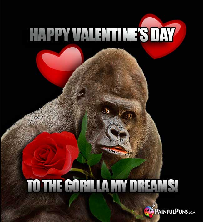 Happy Valentine's Day to the gorilla my dreams!
