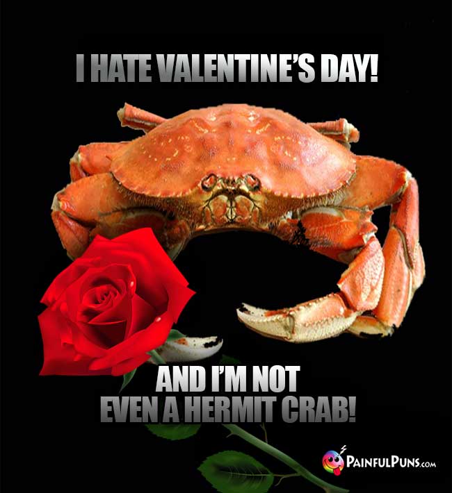 I hate Valentine's Day! And I'm not even a hermit crab!