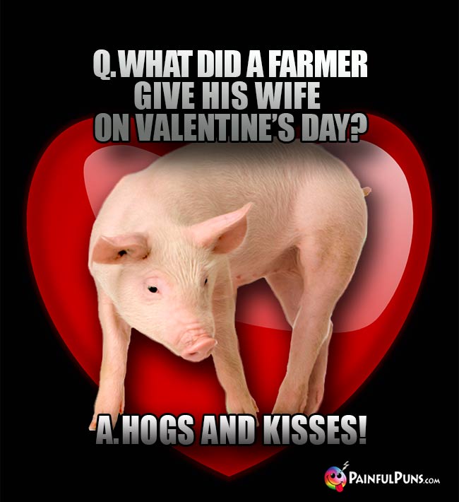 Q. What did a farmer give his wife on Valentine's Day? A. Hogs and kisses!