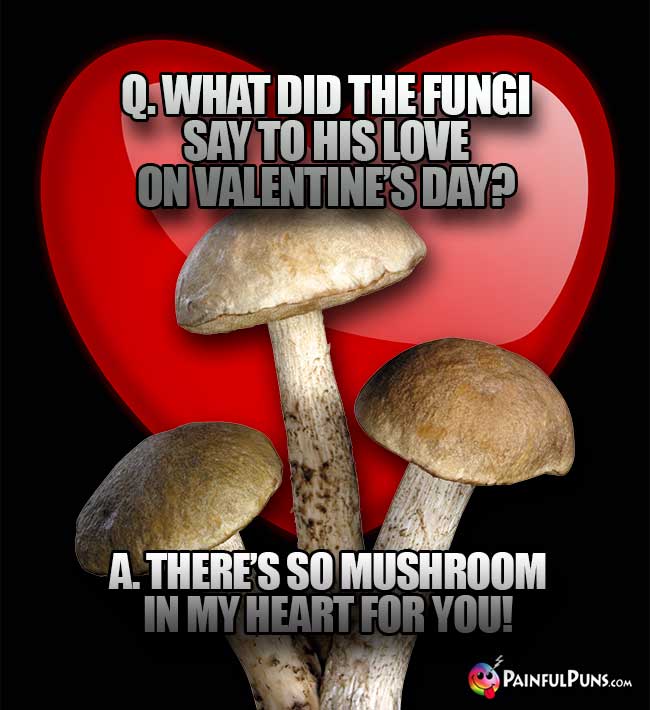 Q. What did the fungi say to his love on Valentine's Day? A. There's o mushroom in my heart for you!