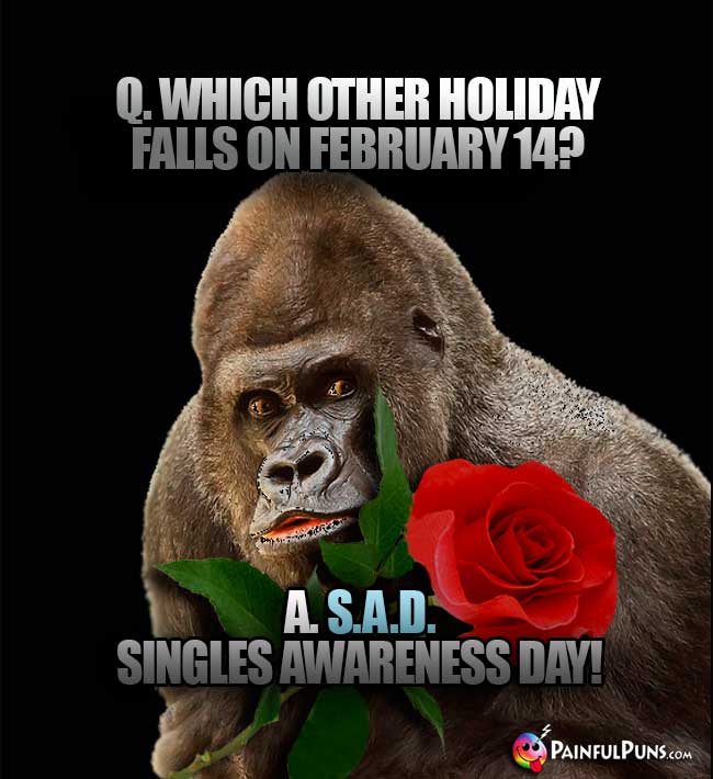 Q. What other holiday falls on February 14? A. S.A.D. Singles Awareness Day!