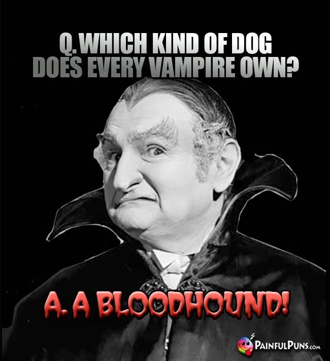 Q. Which kind of dog does every vampire own? A. A Bloodhound!