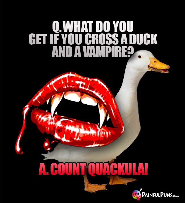 Q. What do you get if you cross a duck and a vampire? A. Count Quackula!