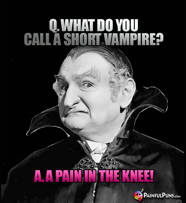 Q. What do you call a short vampire? A. A pain in the knee!