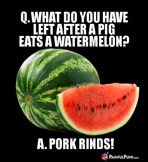 Q. What do you have left after a pig eats a watermelon? A. Pork Rinds!