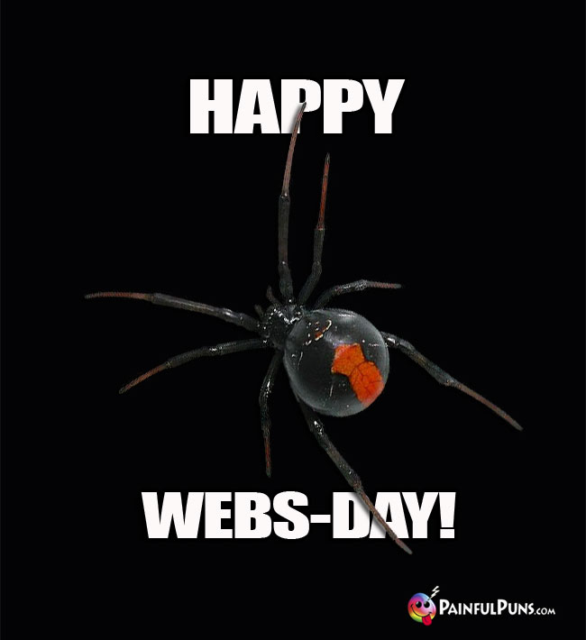 Black Widow Spider Says: Happy Webs-Day!
