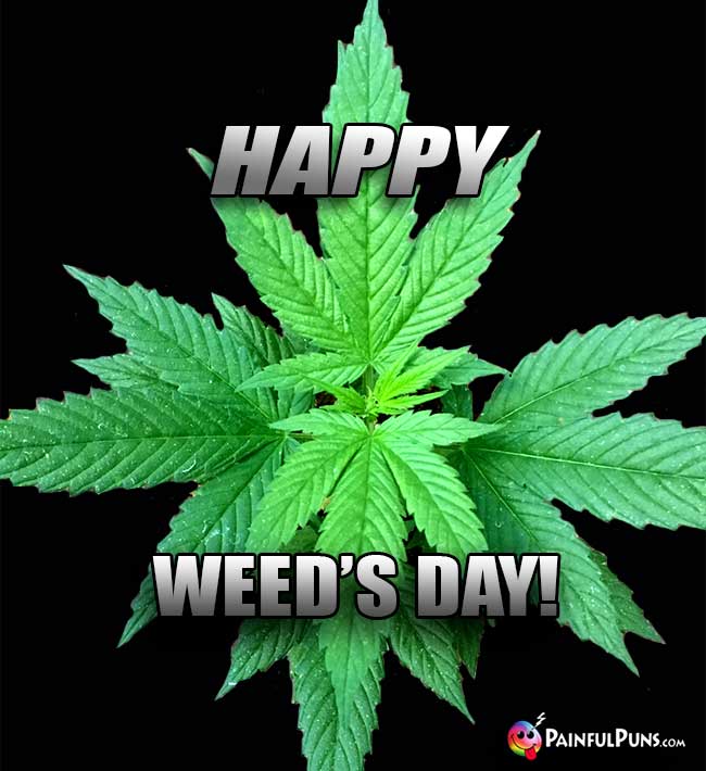 Happy Cannabis Says: Happy Weed's Day!