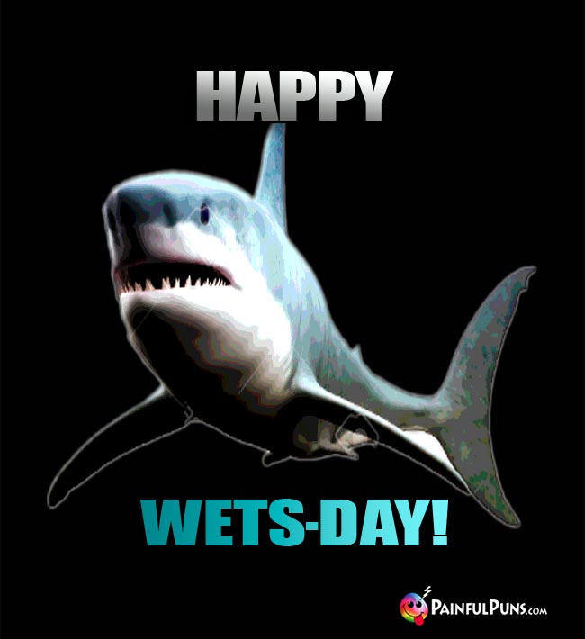 Smiling Shark Says: Happy Wets-Day!
