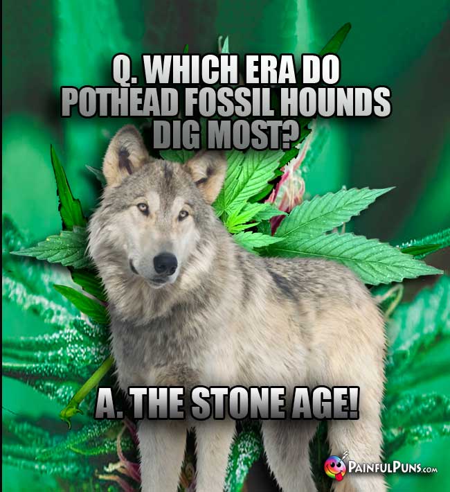 Q. Which era do pothead fossil hounds dig most? A. The Stone Age!