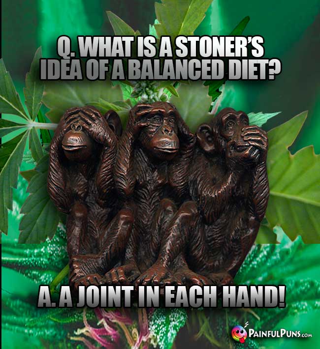 What is a stoner's idea of a balanced diet? A. A joint in each hand!