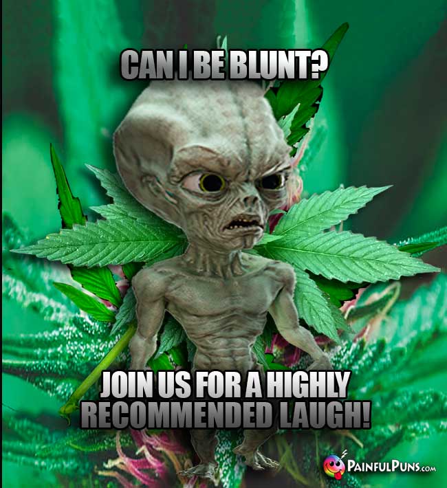 Alien Abduction: Can I be blunt? Join us for a hghly recommended laugh!