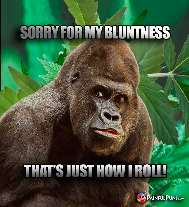 Big Ape Says: Sorry for my bluntness, that's just how I roll!