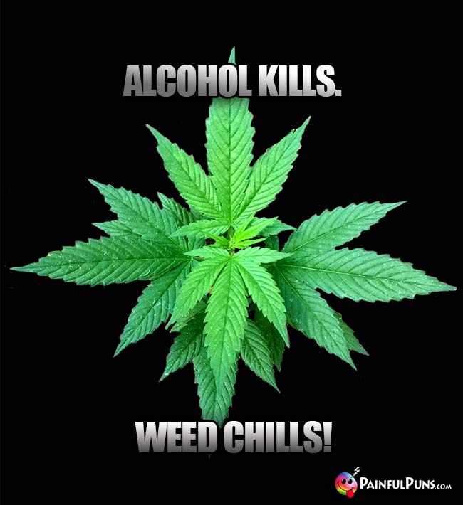 Alcohol Kills. Weed Chills!