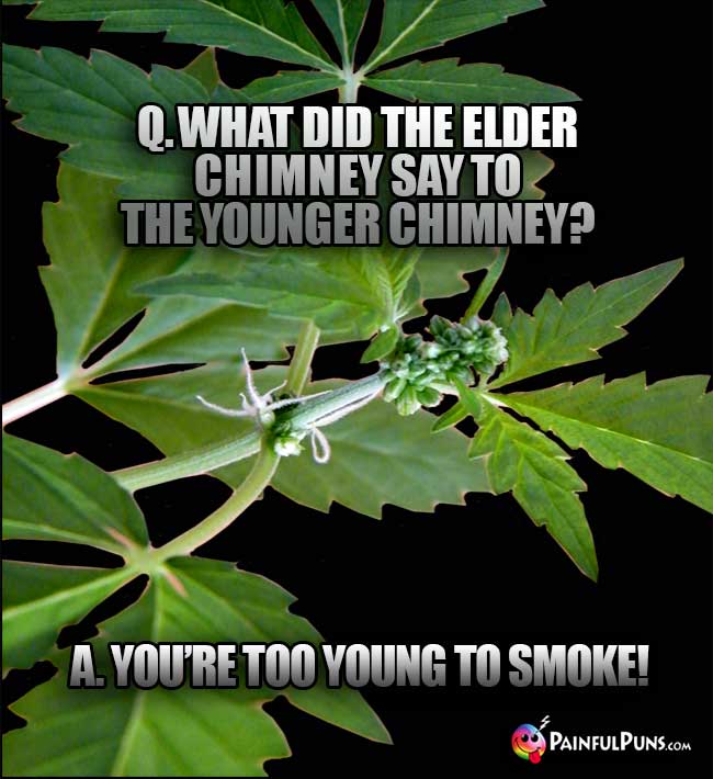 Q. What did the elder chimney say to the younger chimney? A. You're too young to smoke!