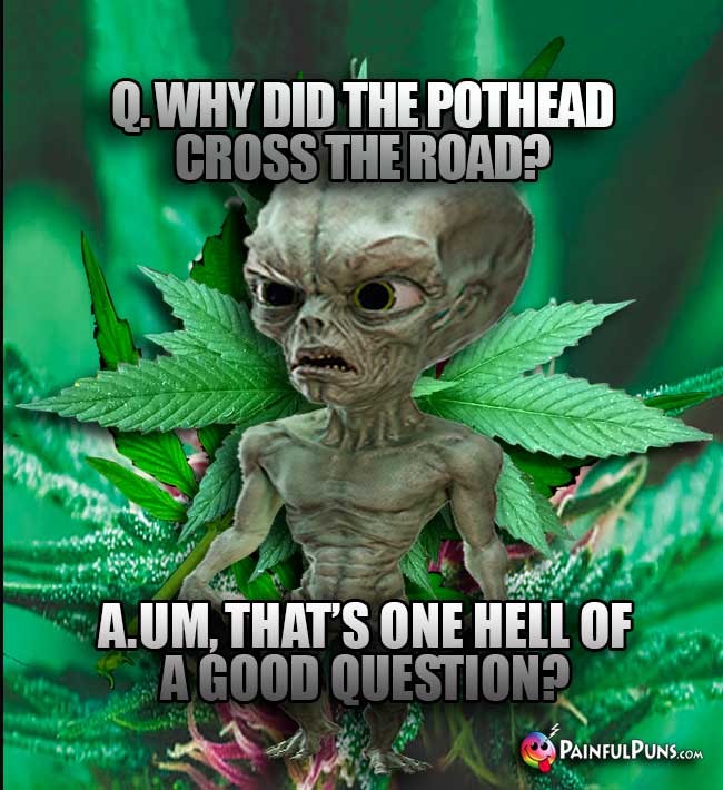 Q. Why did the pothead cross the road? A. Um, that's one hell of a good question?