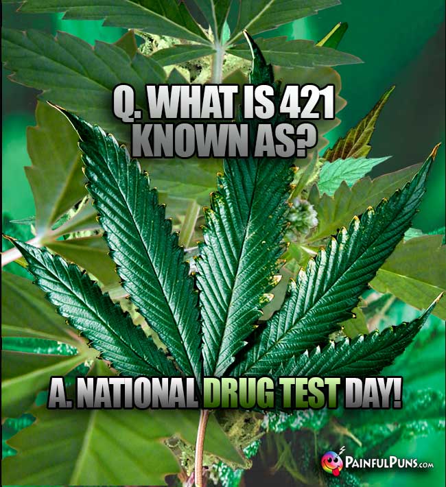 Q. What is 421 known as? A. National Drug Test Day!