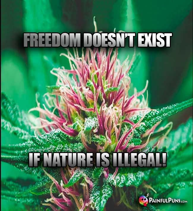Bud Says: Freedom doesn't exist if nature is illegal!
