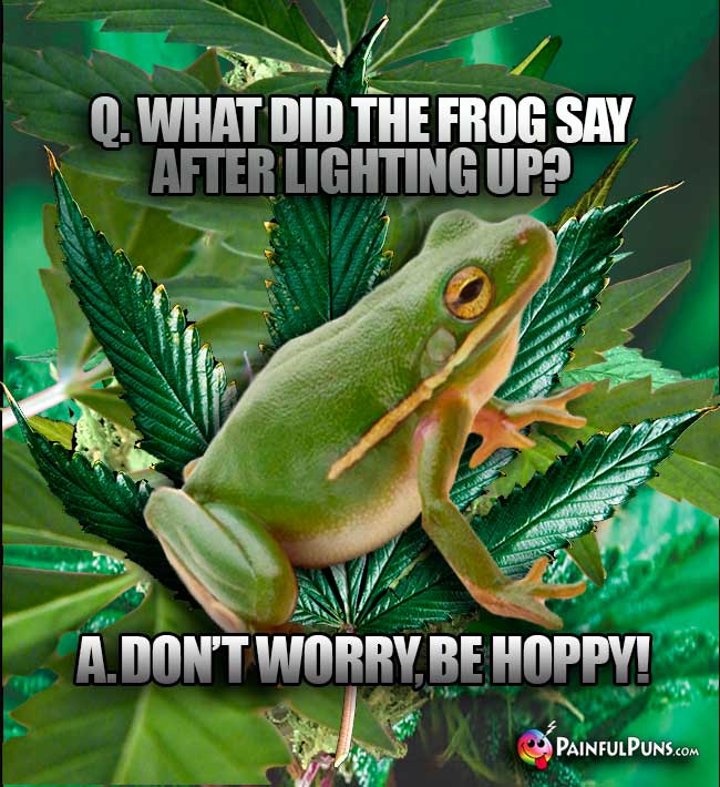 Q. What did the frog say after lighting up? A. Don't worry, be hoppy!