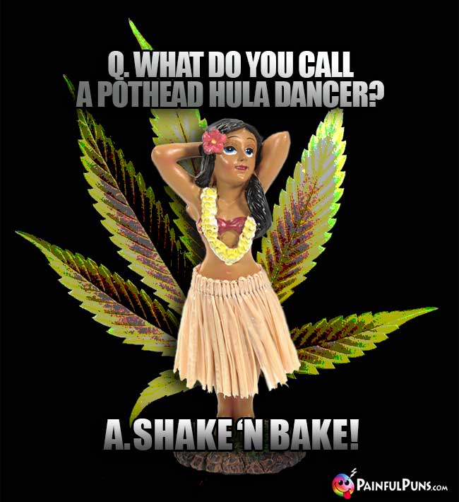 Q. What do you call a pothead hula dancer? A. Shake 'N Bake!