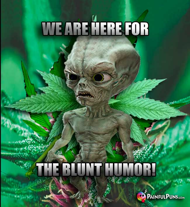 Green Alien Says: We are here for the blunt humor!