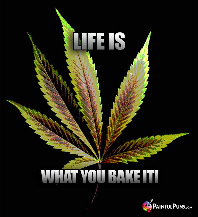 Weed Wisdom: Life is What You Bake It!