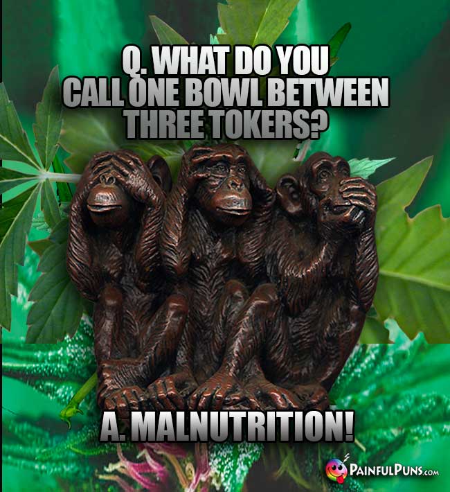 Q. What do you call one bowl between three toker? A. Malnutrition!