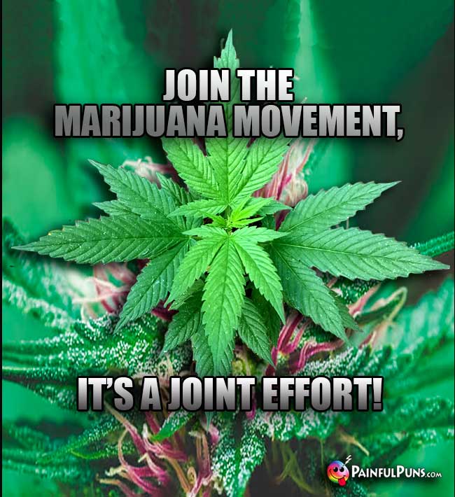 Join the marijuana movement, it's a joint effort!