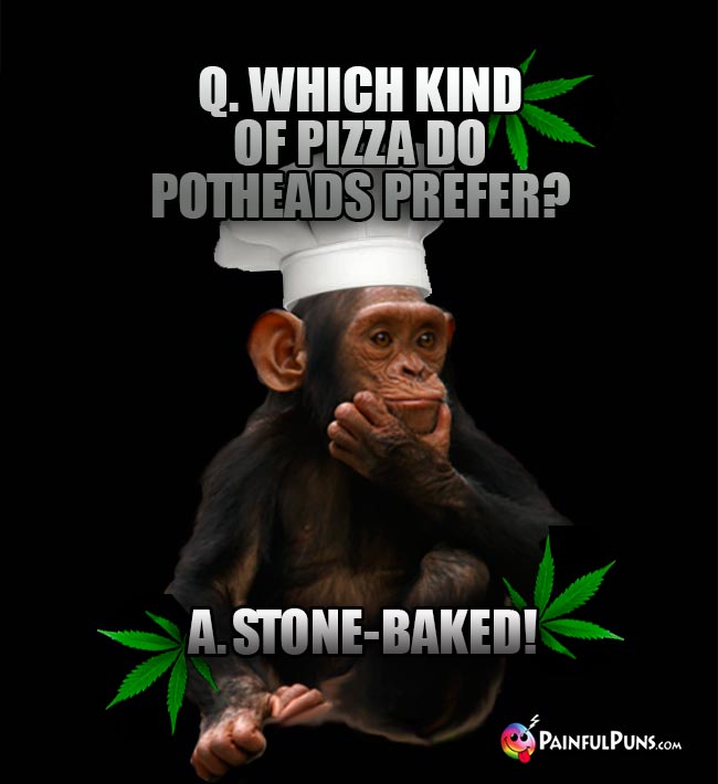 Chimp Chef Asks: Which kind of pizza do potheads prefer? A. Stone-Baked!