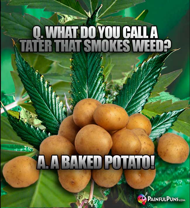Q. What do you call a tater that smokes weed? A. A Baked Potato!