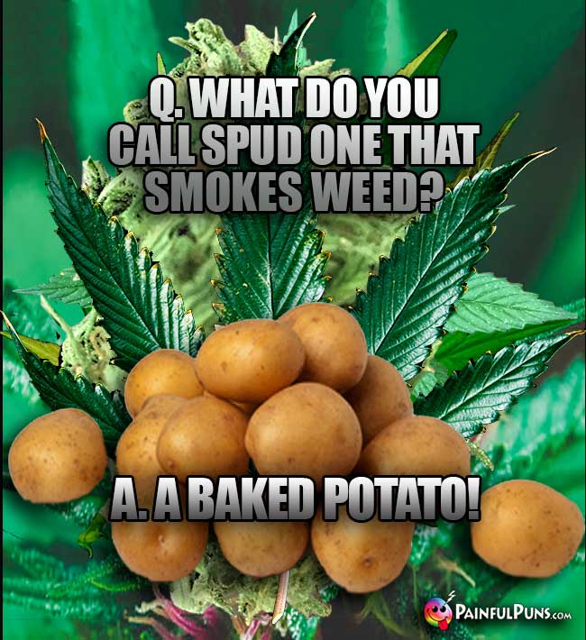 Taters Ask: What do you call spud one that smokes weed? A. A Baked Potato!