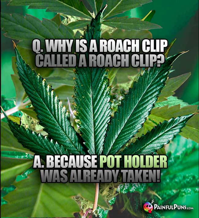 Q. Why is a roach clip called a roach clip? A. Because "pot holder" was already taken!